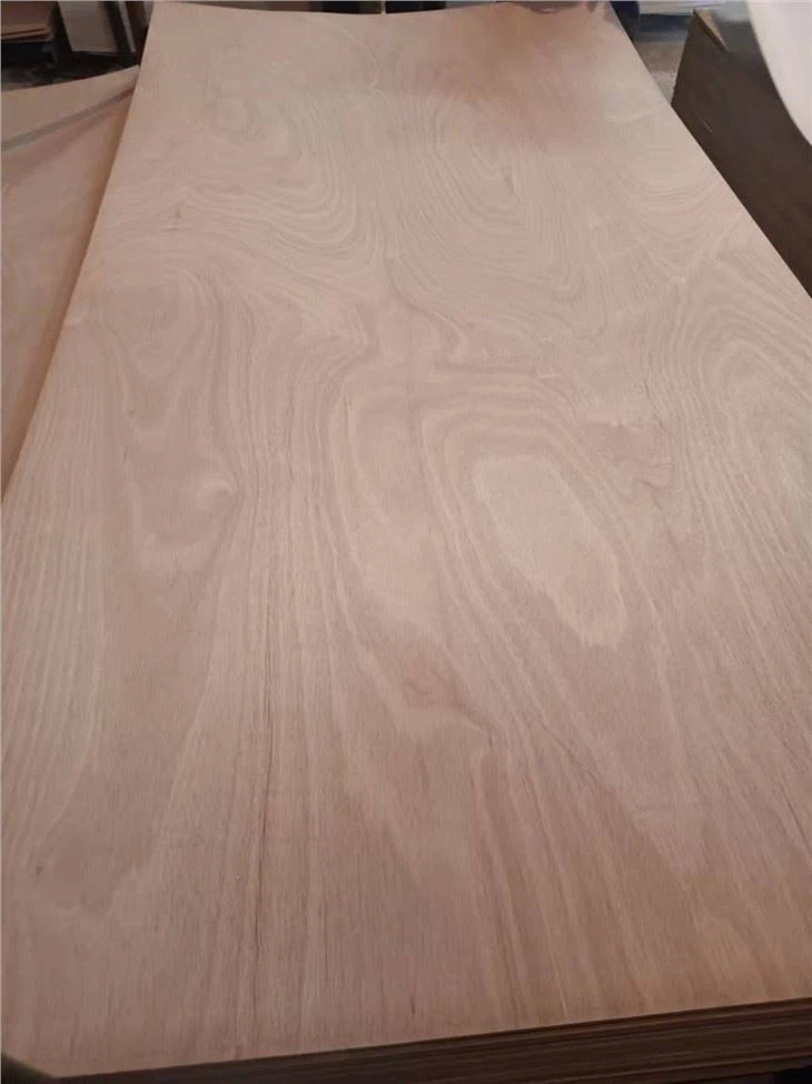 Cheapest Prices Packing Plywood Commercial Plywoood
