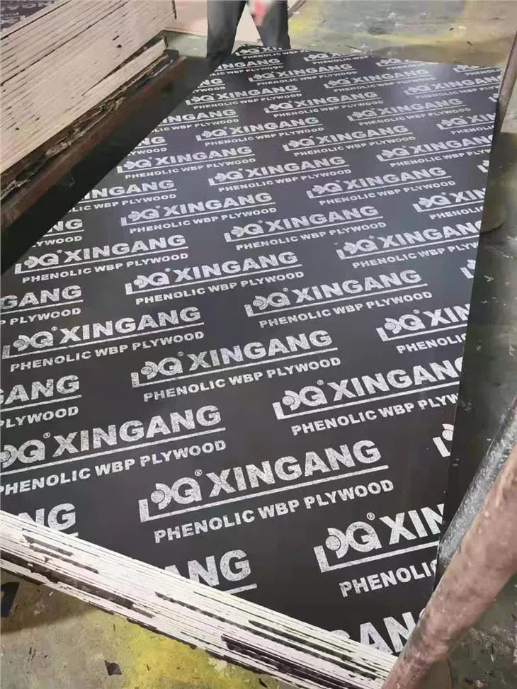 Plėvele dengta fanera Kinijoje Tiekėjas importuoja fanerą pigiai
