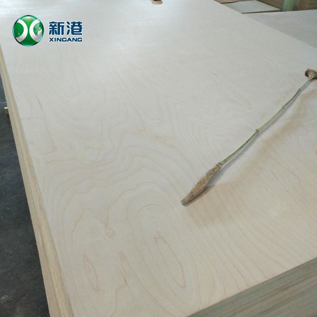 Birch Plywood Furniture Commercial Plywood Packing Plywood 13/15/18/20/21/22mm