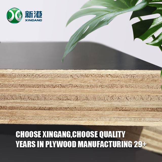 High Quality 18mm Laminated Plywood Black Film Faced Plywood