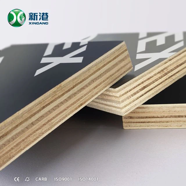 Hot Press Plywood Finger Joint Plywood Film Faced Plywood Poplar Core