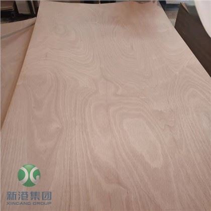 Okoume BB Face Poplar Nugara 3 mm plona komercinė fanera