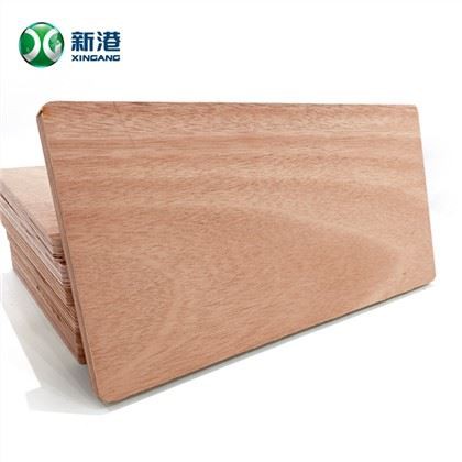 Durų danga komercinė fanera 2.7mm Linyi Factory 3mm,5mm,9mm,12mm,15mm,18mm