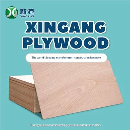 Pagrindinės „Okoume Plywood“ komercinės faneros „Poploar“ medžiagos