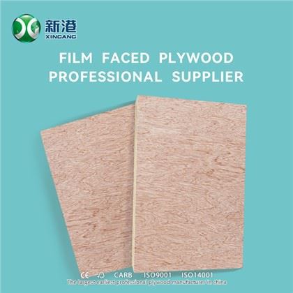 XINGANG KOMERCINĖ fanera