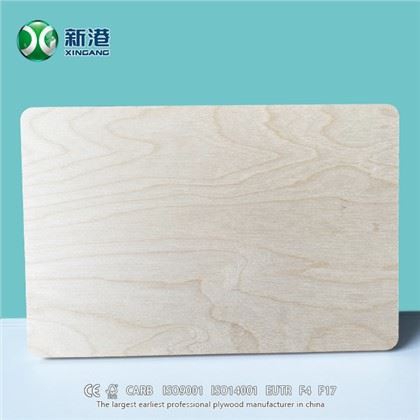 XINGANG pilna beržo fanera 18mm