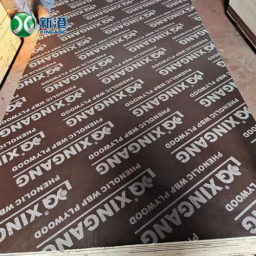 WBP Phenolic Board 18mm Plywood High Quality