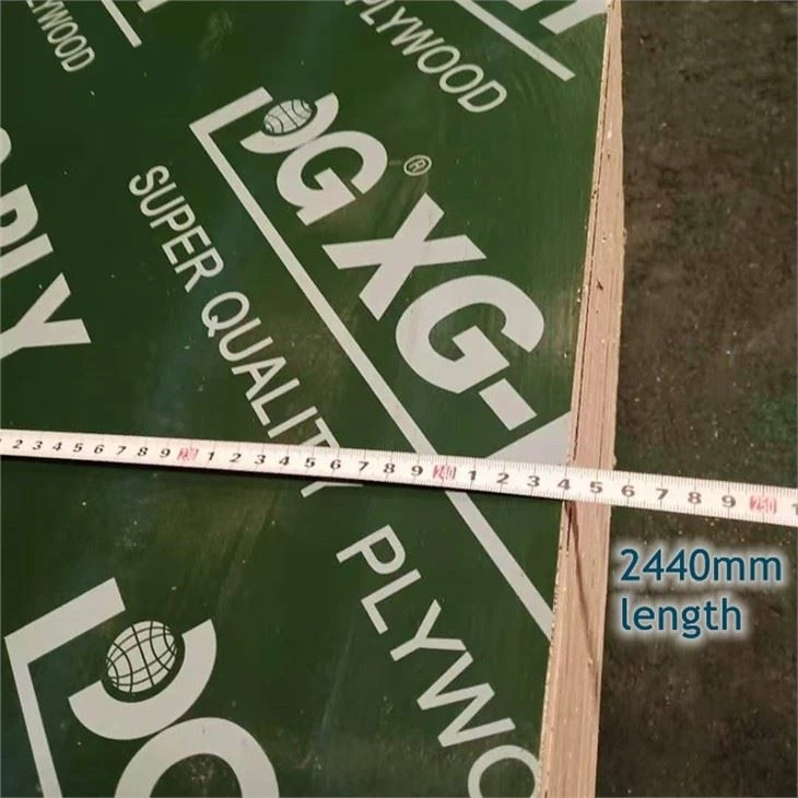XG Green FFP XG-PLY Poplar Construction Plywood